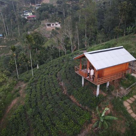 Green Nature Paradise Ella Luaran gambar