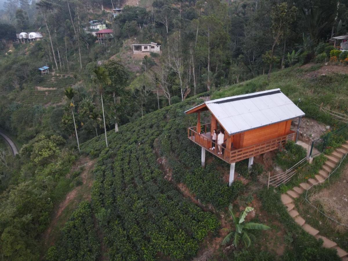 Green Nature Paradise Ella Luaran gambar