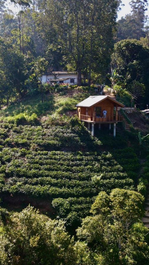 Green Nature Paradise Ella Luaran gambar